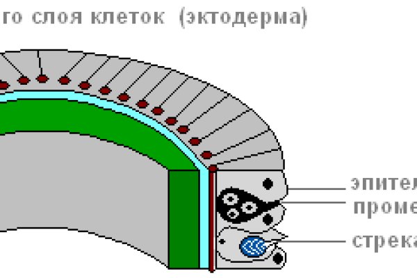 Кракен сайт официальный зеркало